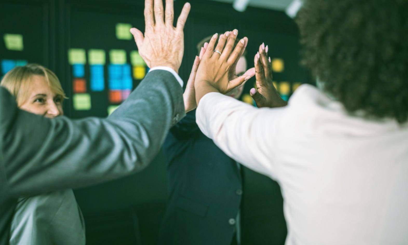 Equipo trabajando en optimización de contenido